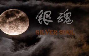 银魂：Silver Soul（中文语音)